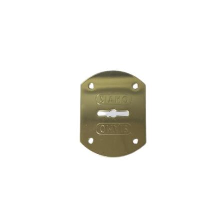 Προστατευτικό κάλυμμα κλειδαριάς για κλειδί τρίαινα, χρυσό